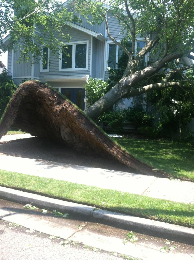 the-absolute-funniest-posts:  sir, your lawn’s broken. did you try turning it on