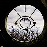 FAVORITE MOVIES OF ALL-TIME:        ↳ Lemony Snicket’s A Series of Unfortunate