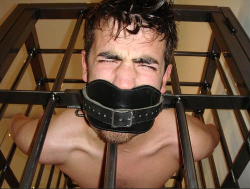 skhole2use:  Now faggot, how am i supposed to use this picture for your Christmas card when you close your eyes like that…now OPEN your eyes and smile for the camera and trust me, you’ll be punished for acting like a 4 year old child in front of the