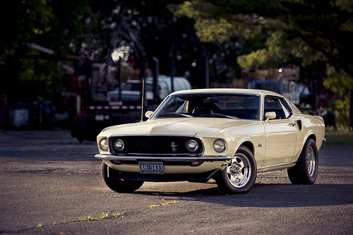 Ford Mustangs