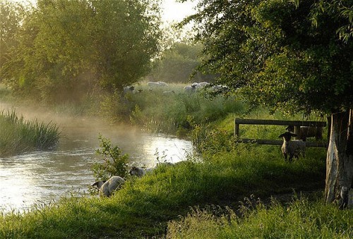 welcometothecotswolds:  River Windrush near Burford