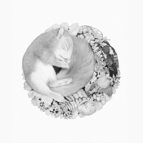 martinekenblog:  Illustration by Denise Nestor 
