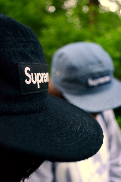 ♛ KING SHVT