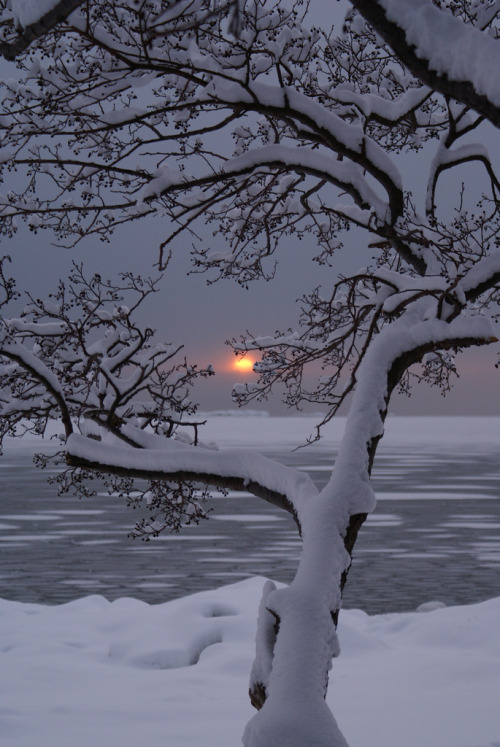 ✧ Mesmerizing Nature ✧