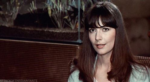 Tenebrae, 1982.
