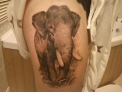 fuckyeahtattoos:  My elephant tattoo, took