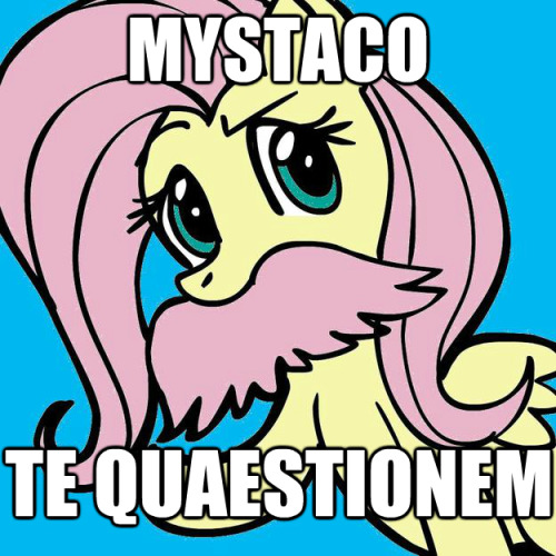 interretialia:MYSTACOTE QUAESTIONEMI MoustacheYou a Question