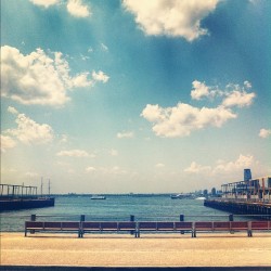 redvisionary:  #Brooklyn #NYC #Pier6 chilling with 🐘 (Taken with Instagram) 