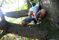 jackcumboy:  gaymalesgifs:  hot lad UK men click here  Haha he’s in a tree. ;)
