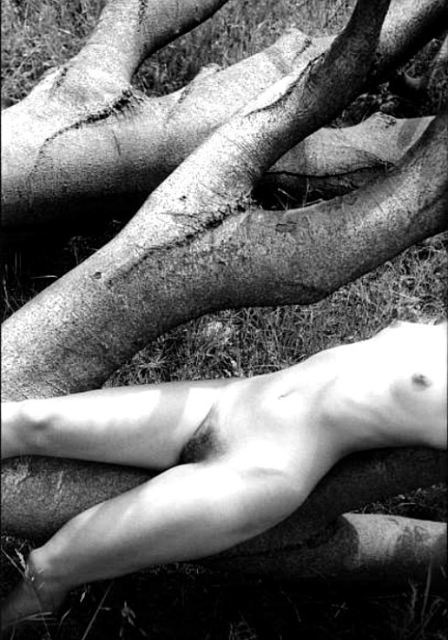 frenchtwist:  Torso and Torsi by Uwe Steinbrück, 1989   
