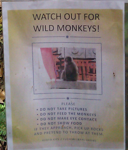 “Watch out for wild monkeys! Please: do not take pictures do not feed the monkeys  do not make