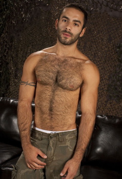 hairyfaces:  Cute