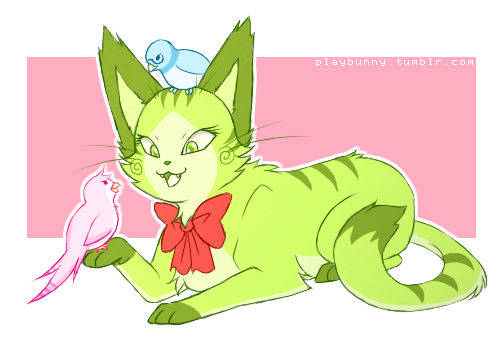 More kitties! Calliope is hanging out with Roxy the Parakeet and Jane the Lovebird,