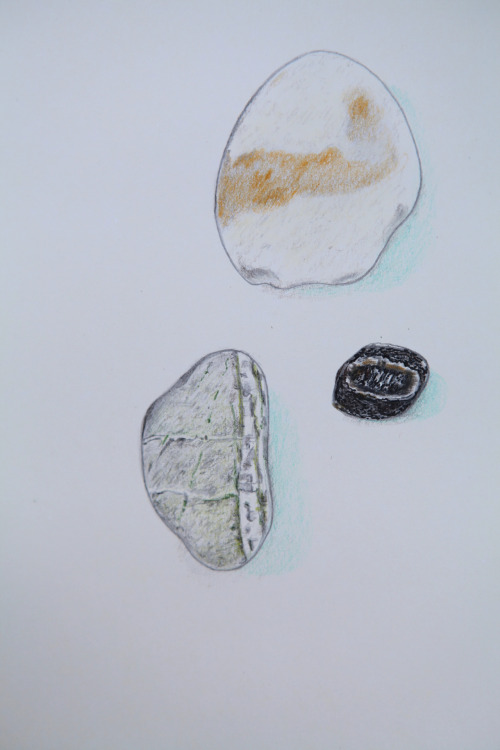 beach pebble trio