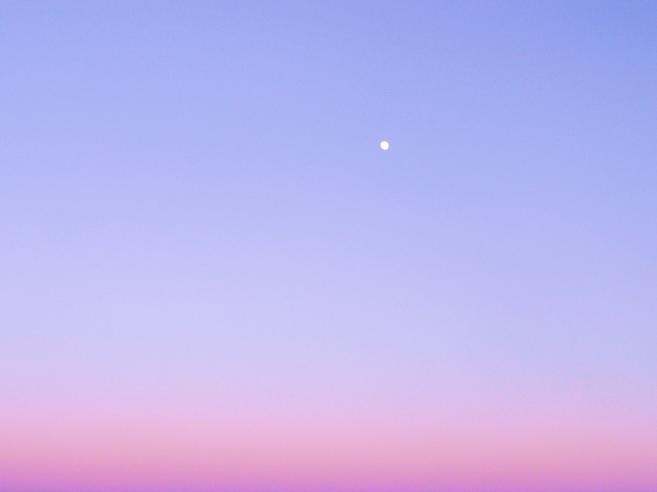 versicolour-venom:  above Marina Del Rey