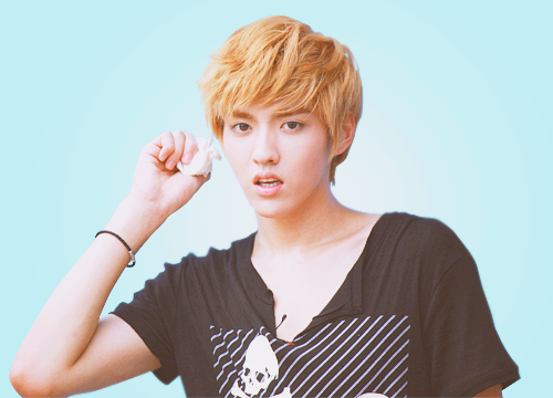 xirkaly:  DAY 2 YOUR BIAS FROM EXO-M  omg i really cant pick 1, it’s too hard ok