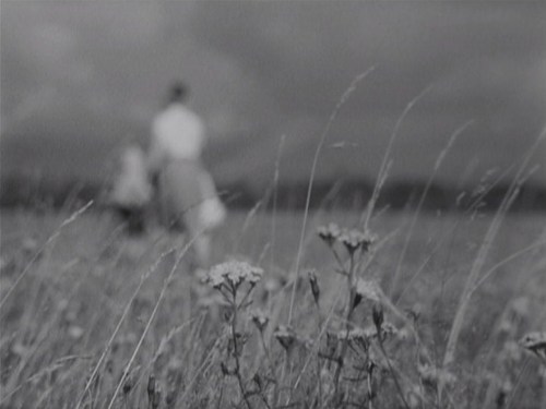 paleshadesofnothing:крылья / Wings (dir. Larisa Shepitko)