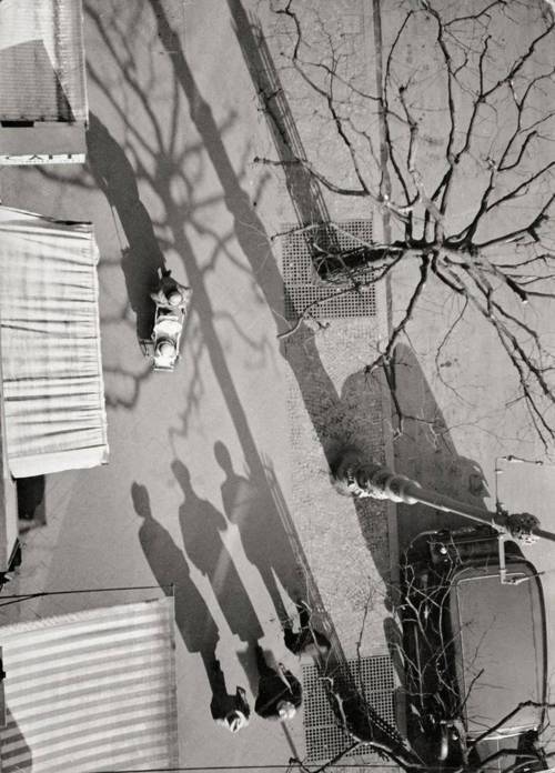 Paul Wolff - Untitled (Frankfurt/Main: Sidewalk - View from Above), 1933-1945