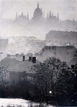 luzfosca:  József Németh Winter fog, Budapest,