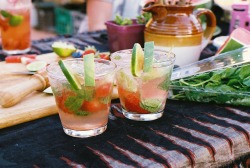 quiest-brooke:  watermelon gin and tonics by c banger on Flickr.  mmm