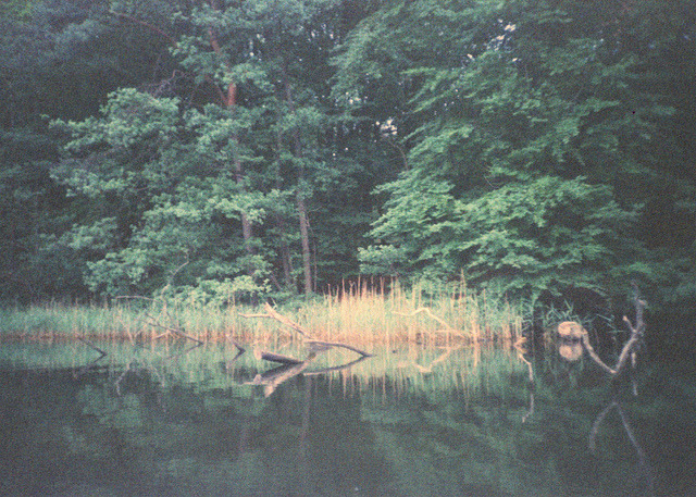 emerald-dreaming:  Follow for spirit☾ + witchcraft☪ + nature☮  (via imgTumble)