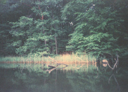 Emerald-Dreaming:  Follow For Spirit☾ + Witchcraft☪ + Nature☮  (Via Imgtumble)