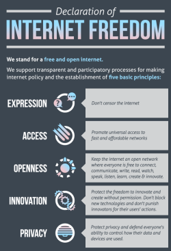 shortformblog:  mrshl:  Announcing The Declaration Of Internet Freedom | Techdirt Backed. Core principles of freedom that are hard to argue with.  This is important, all. A lot of sites are standing behind this. Is yours? 