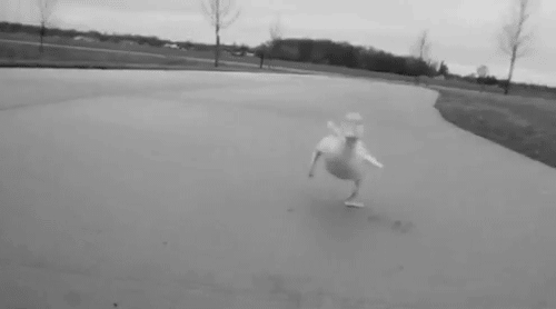 piteux:  perfect—atelophobia:  i want a duck :c   Omggggggggg! 