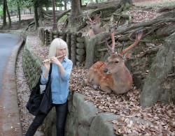 mememaster:  i like how the deer in the back is like “Why the fuck aint she playin me no song?”    whatever bitch the flute is gay as fuck anyway 