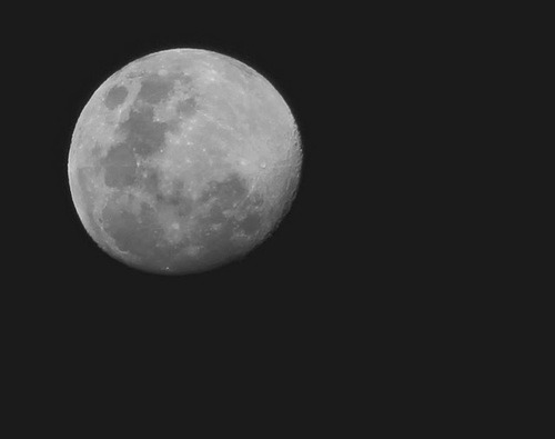 insignificant