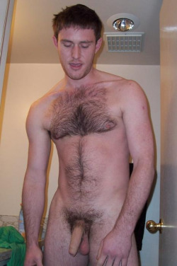 rugbyplayerandfan:  Rugby players, hairy