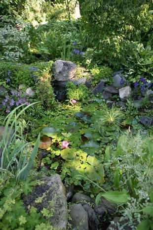 A small, colorful pond in a Bedford woman’s expansive home garden. Phillis Warden opened her flourishing garden to the public yesterday as a part of the Garden Conservancy’s Open Days Program.
For more images of Warden’s flowers, waterfalls and...