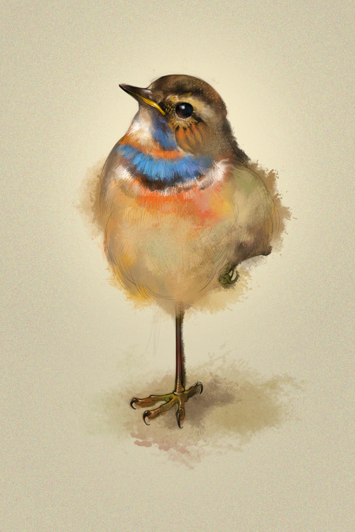 illustratosphere:  每日一鸟 20120410 by 范特曦 