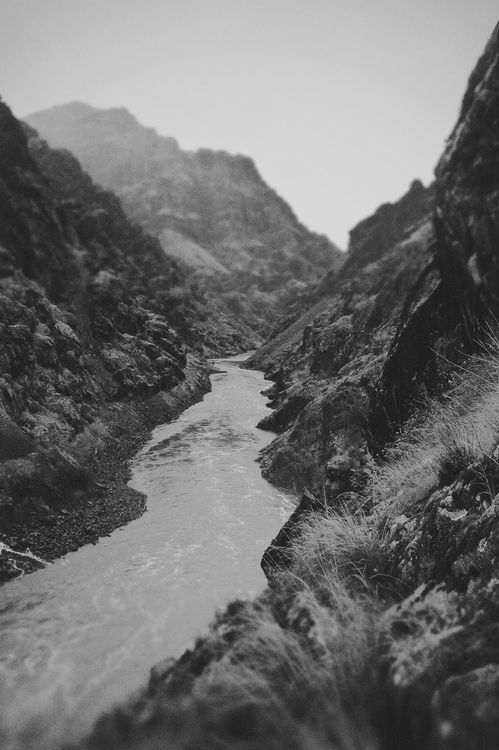 The nature