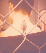 970929970913:  Zayn + tattoos 