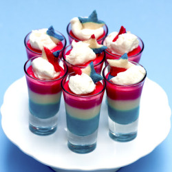 gastrogirl:  sugar cookie pudding jell-o