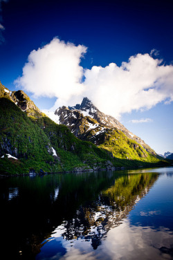 purrson:  Lofoten by haakondagestad on Flickr.