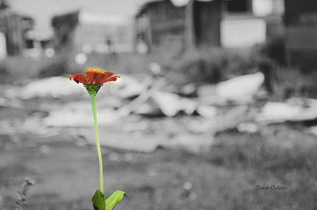 Onde estiver, seja lá como for. Tenha fé, pois até no lixão nasce flor .