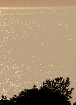 tinyclicks:  Lake Michigan Sparkletime 