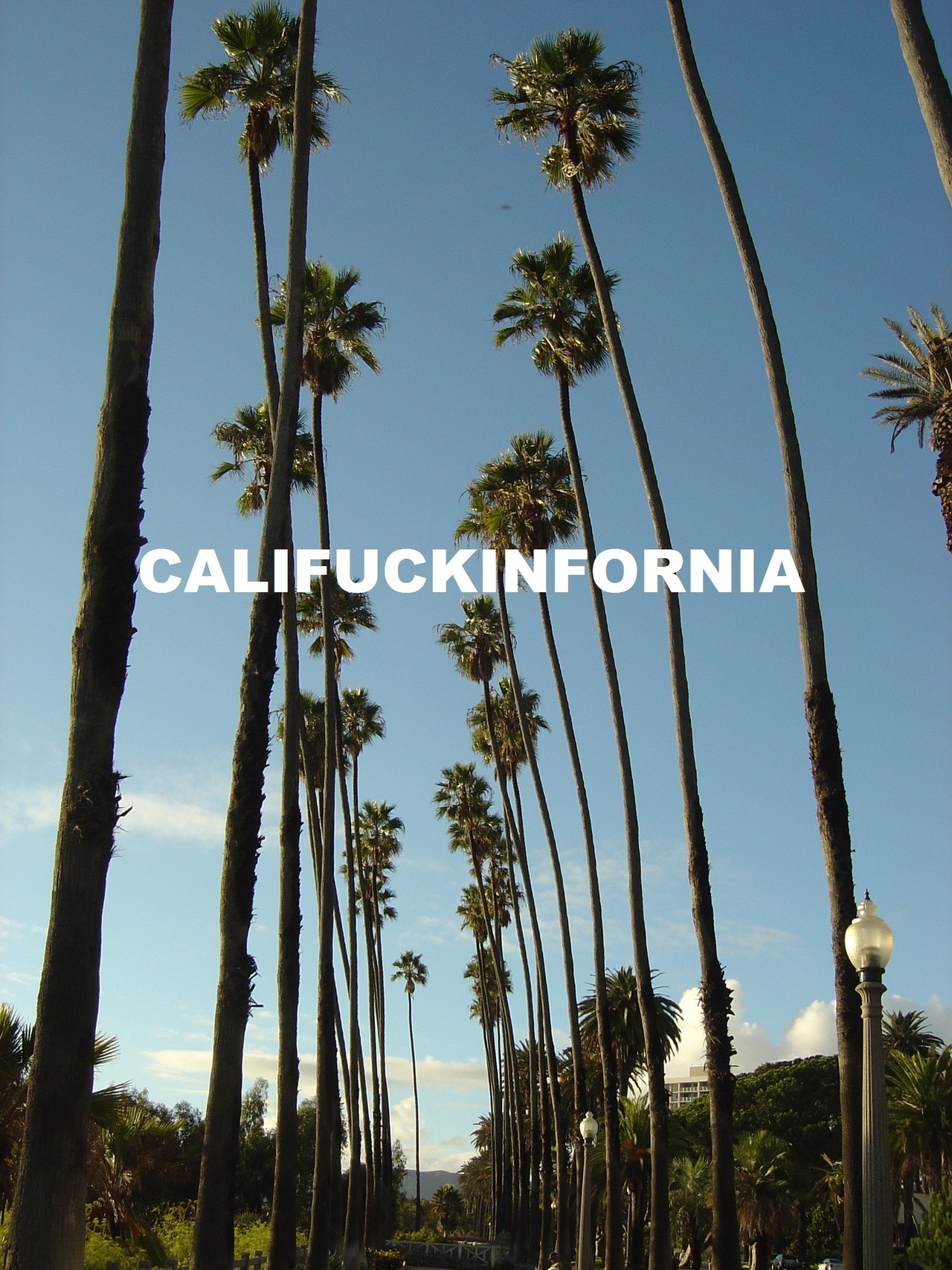stfumoo:  rebloggin i made it:)