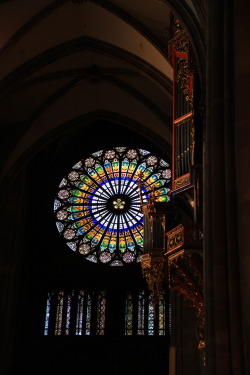 jonathasmello:  Vitral e órgão da catedral