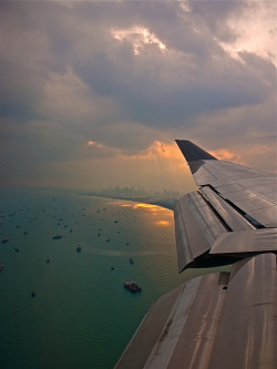 C0Caino:  By 