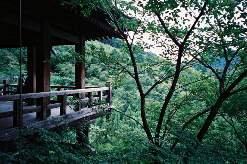 kansai082008 2119 (by ray chan)