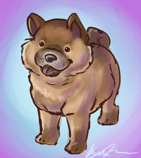 Can we all just…stop…and appreciate chow chow puppies for like three seconds? Yes?