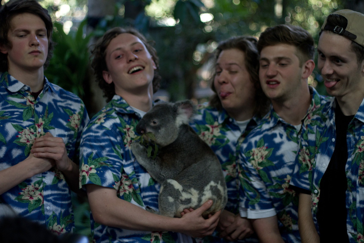 fuckalpacas:  theunderestimate:  Basement at the koala park.  still one of the best