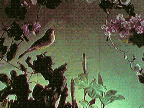 kittenmeats:  “La voix du rossignol” (1925) - Wladyslaw Starewicz 