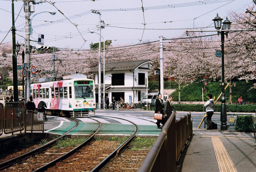 novemberschopin: 2010.TOKYO (by lydia618)