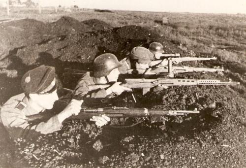 learnosaurusrex:  The Soviet AVS-36 and the SVT-40 battle rifles, chambered in 7.62X54R. The former is notable for being fully automatic and nigh uncontrollable even with a muzzle brake. The latter was widely more manufactured and semi-automatic, but