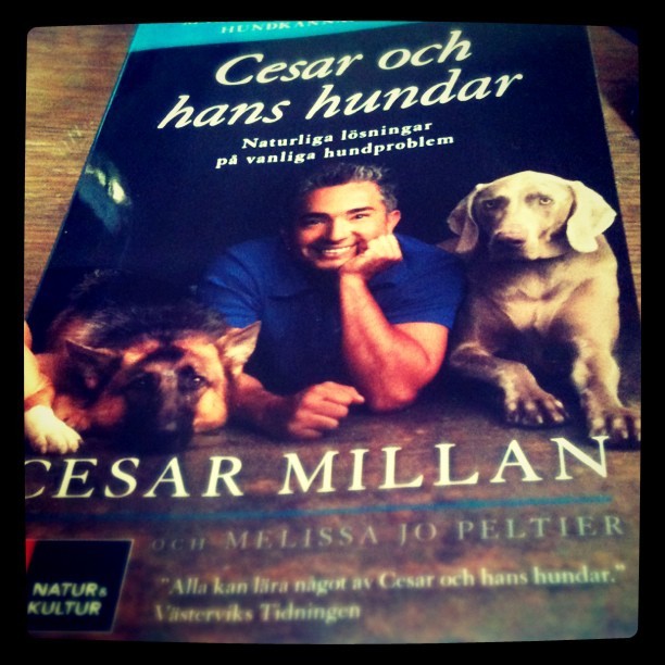 #ceasarmillan #ceasar'sway-thenaturaleverydayguidetounderstanding&connectingcommondogproblems #ceasarochhanshundar #dogs #melissajopelter #natur&kultur #mannensomtalarmedhundar #themanwhotalkswithdogs #wiwekaderansgreen #2011 #harmonybooks (Taken...