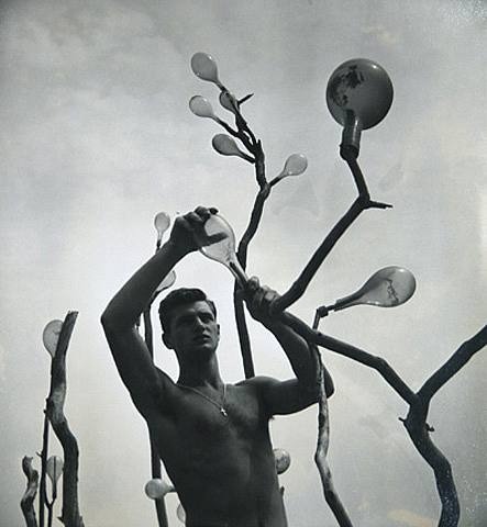climbing-down-bokor:  Chianti Tree by George Daniell (1950) 
